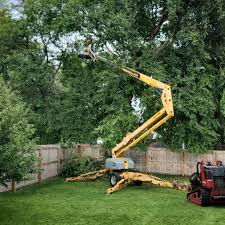 Best Tree Mulching  in Bladenboro, NC