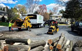 Best Tree Mulching  in Bladenboro, NC