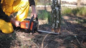 Best Tree Preservation Services  in Bladenboro, NC