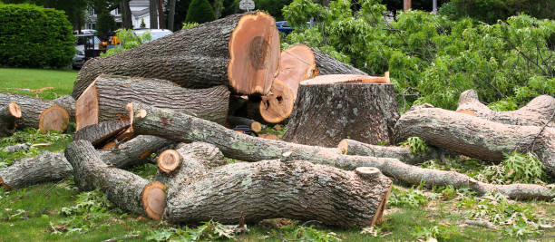 Bladenboro, NC Tree Services Company