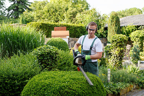  Bladenboro, NC Tree Services Pros